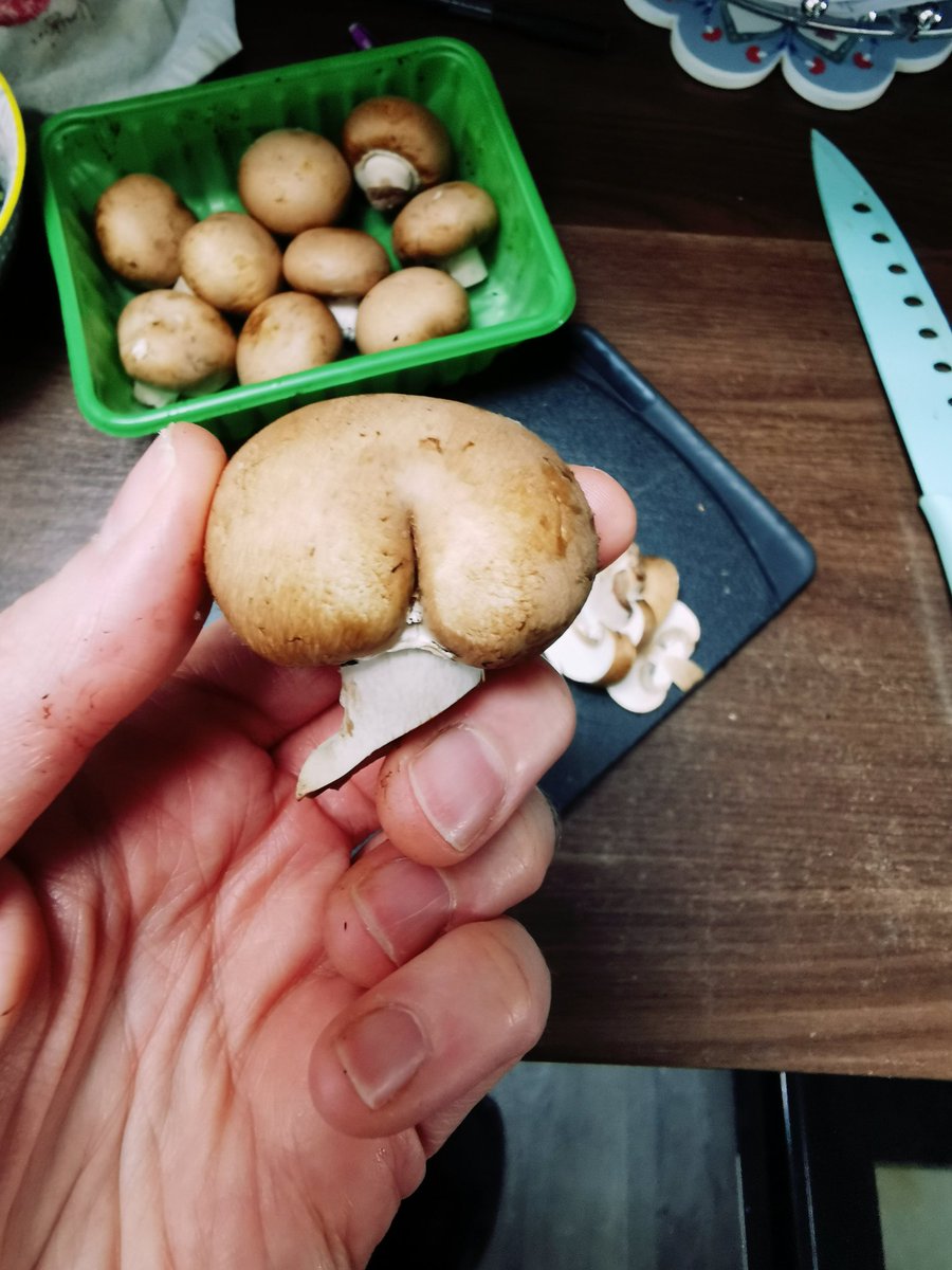 Don't mind your wonky carrots, give me an arse mushroom any day of the week 🍄🍑