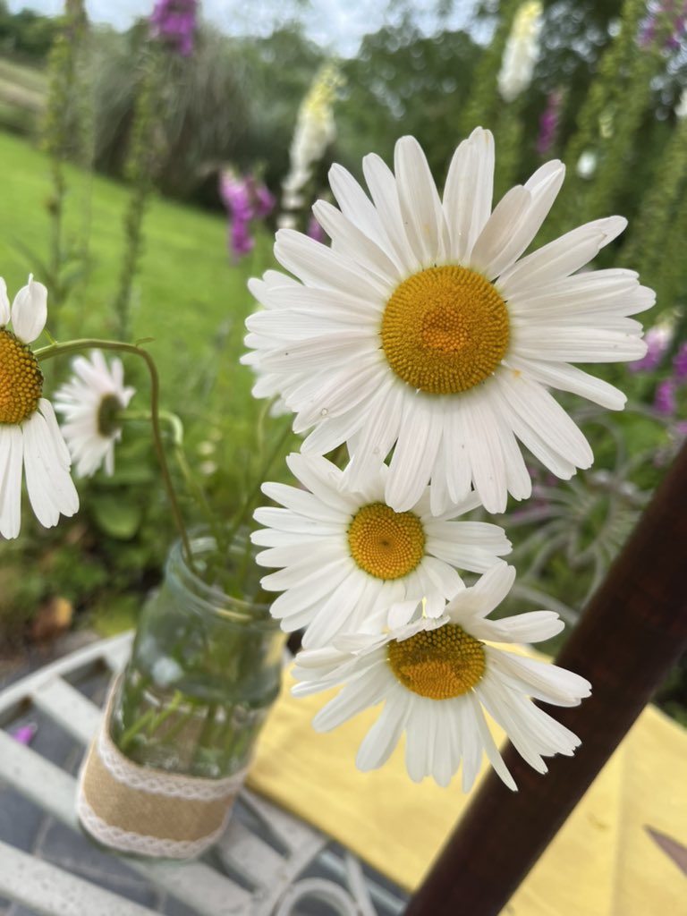 AmandaFBelfast's tweet photo. Lovely morning with Noreen’s Nettles @noreensnettles #aghalee https://t.co/cFL707h0qZ