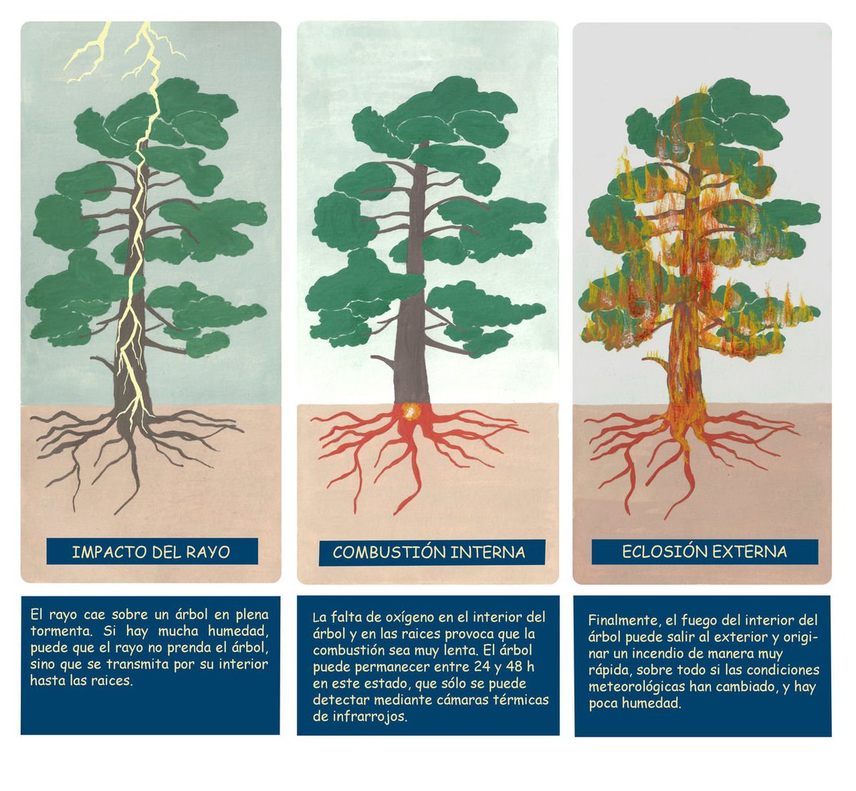 ¿Sabes lo que es un rayo latente y que pueden originar un incendio muchas horas después de pasada la tormenta? Esta infografía explica el peligro de este tipo de fenómeno. +info en #meteoglosario: meteoglosario.aemet.es/es/termino/107…