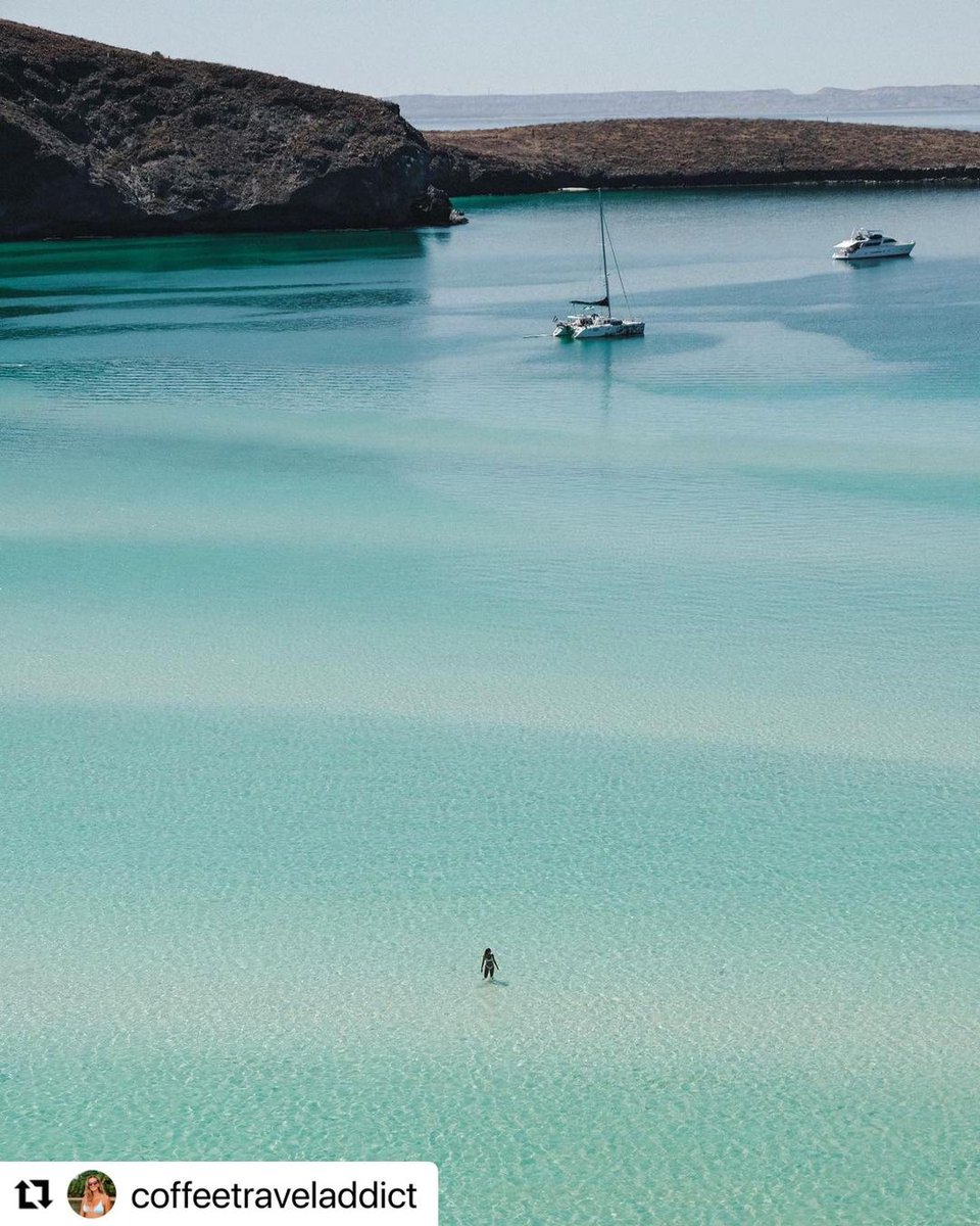 BerbeTravel's tweet photo. The most beautiful beach in Mexico!
📸 @coffeetraveladdict
#lapazmexico #labajasur #bajacaliforniasur #bajacalifornia #instamexico #mexicotravel #visitmexico #amazinglandscape #wanderfolk #beautifuldestinations #descubremexico #borntotravel #balandrabeach #playabalandra https://t.co/gpJqPQSLhU