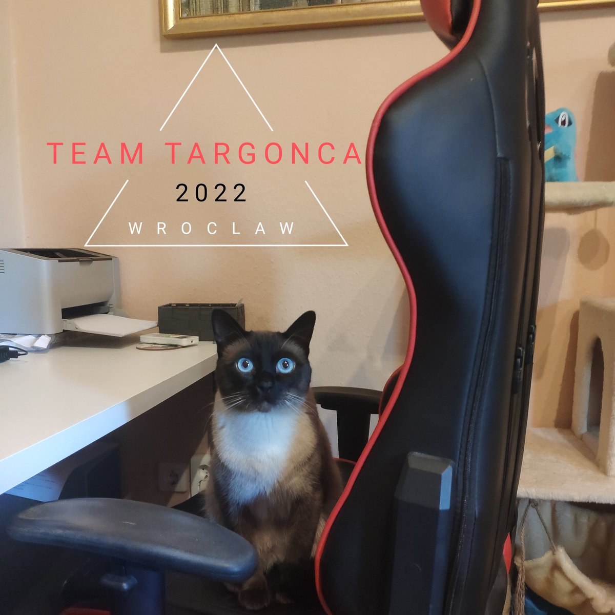 Ritariellle's tweet photo. Hajrá fiúk! 🎉🎉🎉 https://t.co/lGMCrlcBIx