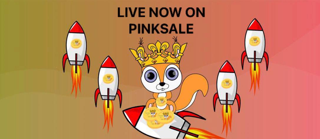 chinapumprocket's tweet photo. $SINU introduced holders to next-generation concepts such as an ecosystem includes Squirrel Verse, NFT Marketplace, Squirrel Game, Staking &amp; Farming..

Pinksale Presale: https://t.co/XrvlQpWF7U

More info: https://t.co/S6TjHWOcT5 https://t.co/ja5dcYSYpn