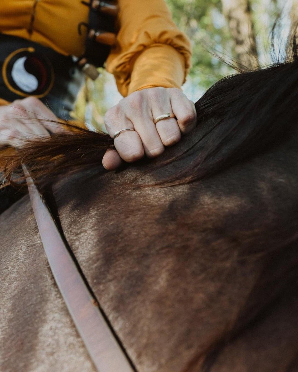 Andromeda tweet media