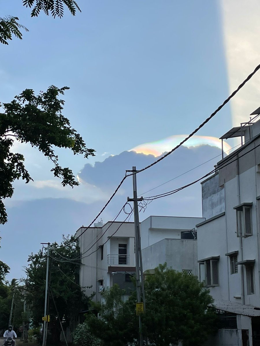 harshil modi tweet media