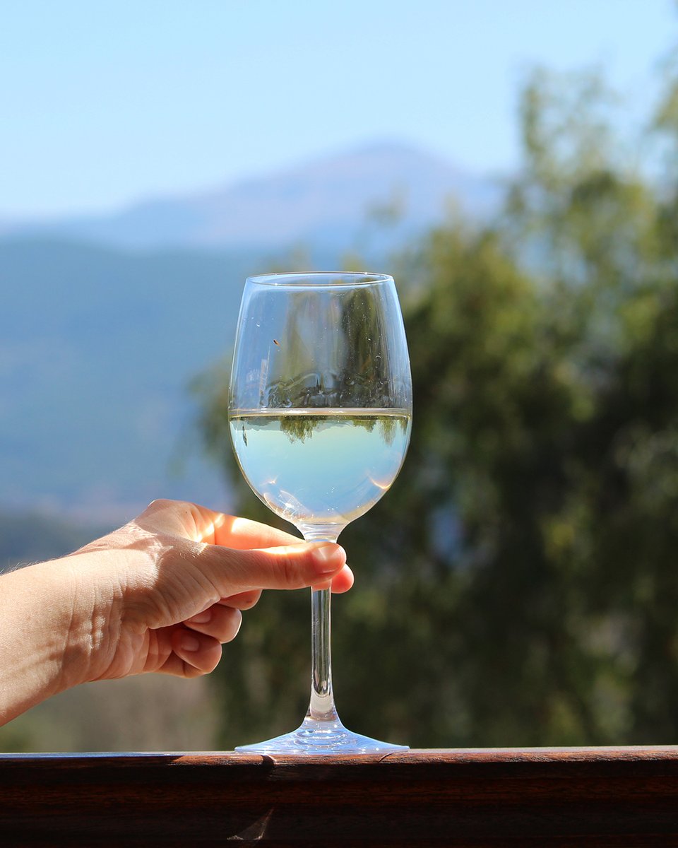 kwafwine's tweet photo. The third Saturday of June marks #CheninBlancDay all over the world. You'll find some great Chenin Blanc in Ontario. In this climate, it produces crisp white wines with ripe fruit aromas of apple, pear, peach and honey. Let’s cheer for #Chenin! https://t.co/xImG7xpsGo