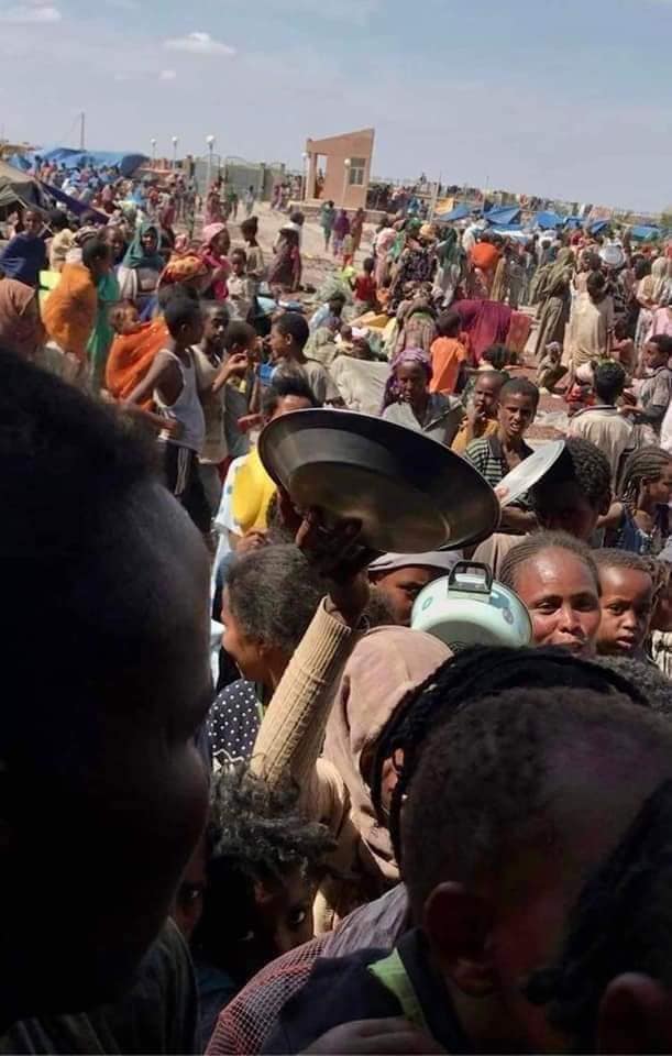 asqu26's tweet photo. #591Days Of #TigrayGenocide & here is what’s happening
💔83% people “Food Insecure
👉50% (3.5 mill) “No Food”
👉No Fuel
👉No Banking
👉No Medicine
👉No Telecom & Electricity
Humanitarian aid BLOCKED
Act NOW @UN @UNOCHA @POTUS @PowerUSAID
#EndTigraySiege https://t.co/nC6WjzqhLq