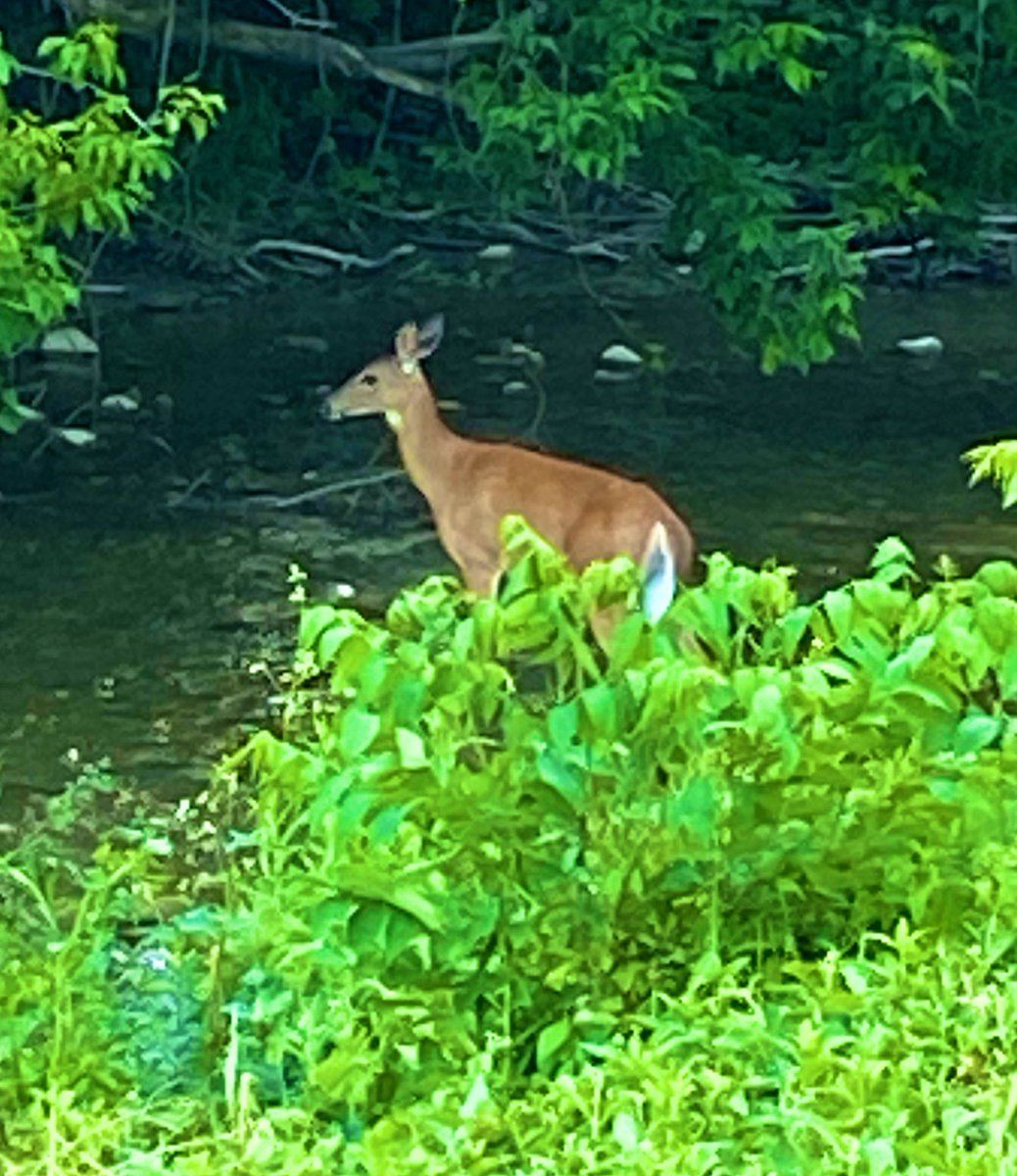 Bill Walker tweet media