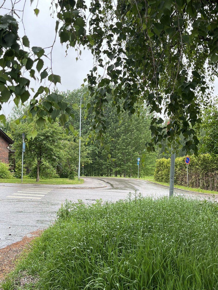 JukkaPartanen3's tweet photo. There is nothing holding me back - 8km/5miles in rain +14°C/57°F #running #streetrunning #training #photography #nature #landscapephotography #nature #streetphotography #ランニング #channel169 https://t.co/RuabfPo4PO