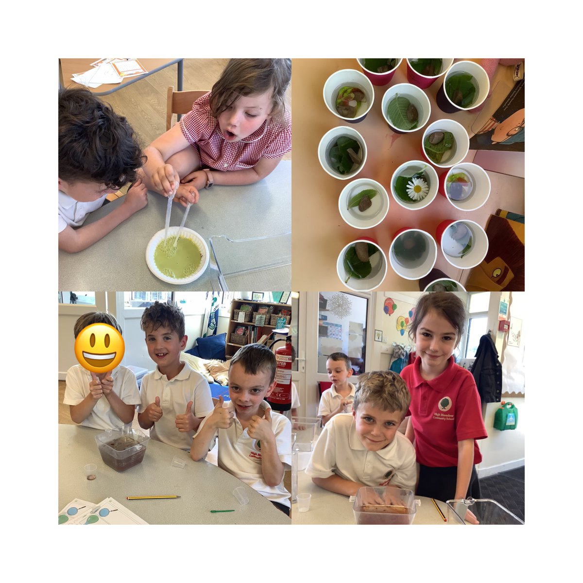 Mrs Ford tweet media