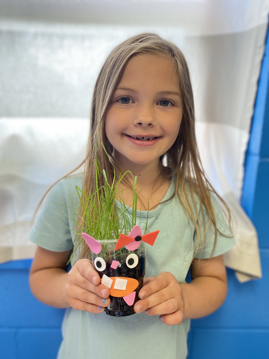 MsKristen19's tweet photo. The students went CRAZY over these “Grass Buddies” during our unit on plants! 
#Evergreenelementaryschool https://t.co/KfHlIsHSeG
