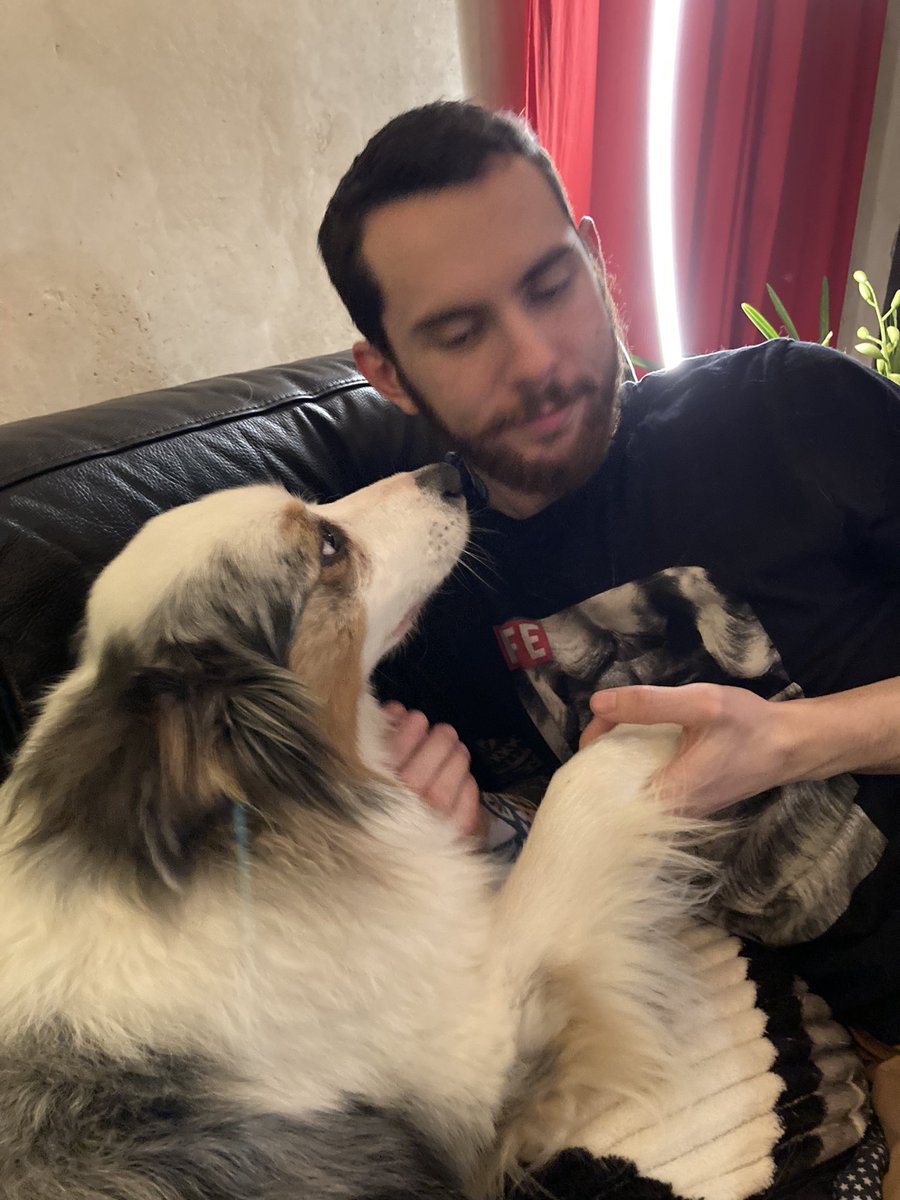 Pikezer's tweet photo. @Unexpected_std La dernière fois que j’ai vu ma chienne ❤️
(J’habite à l’étranger) https://t.co/rFxBkqrEA7