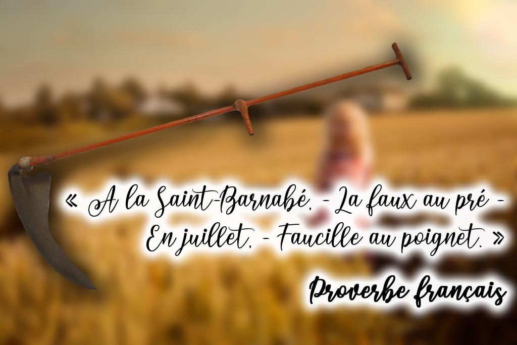 MHVQ76's tweet photo. #leconsdevieMW #MuseumWeek2022 #proverbes #citation #mhvq #PetitCaux https://t.co/cCyzOcZigQ