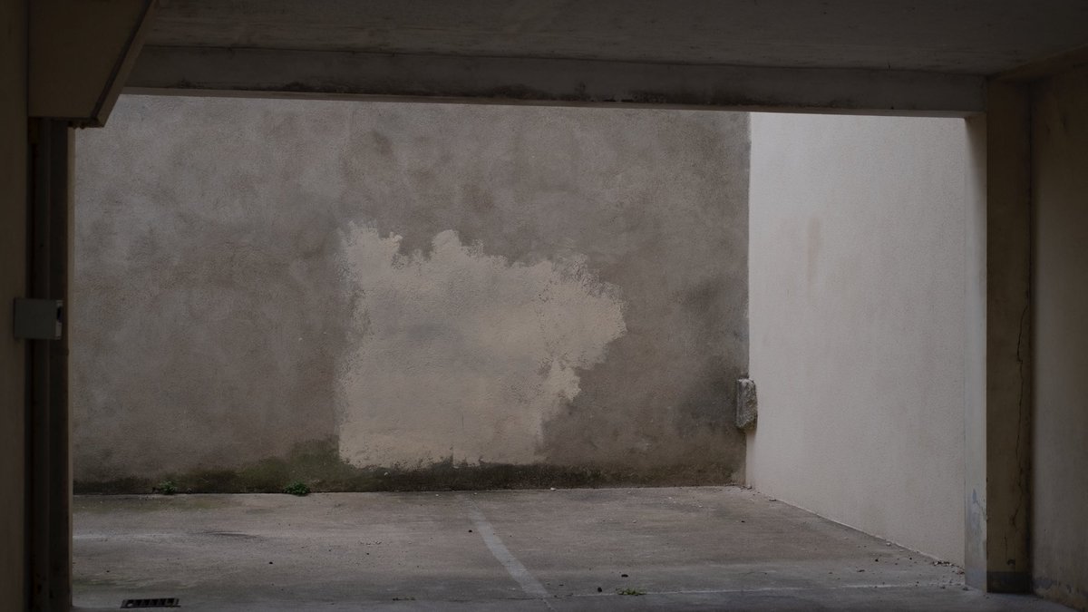 Carl Leyel (@carl_leyel) on Twitter photo 