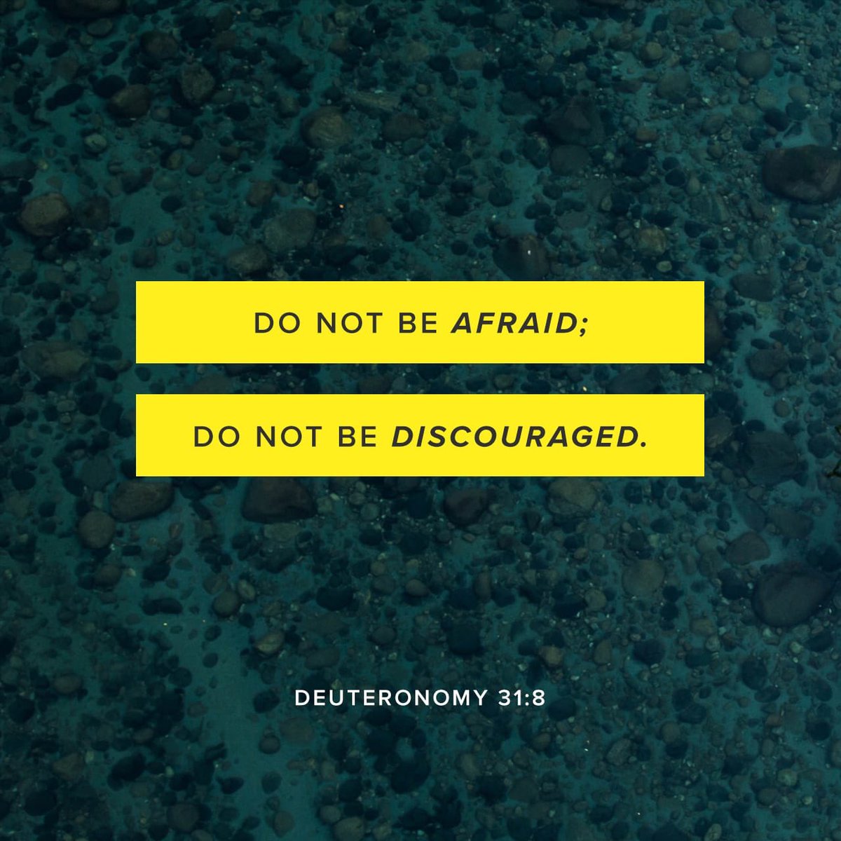 REACHSarasota's tweet photo. Moses’ words to Joshua hold true for us too: “It is the Lord who goes before you. He will be with you; he will not leave you or forsake you. Do not fear or be dismayed.”
Deuteronomy 31:8 ESV https://t.co/Jm5xEAy8Ti