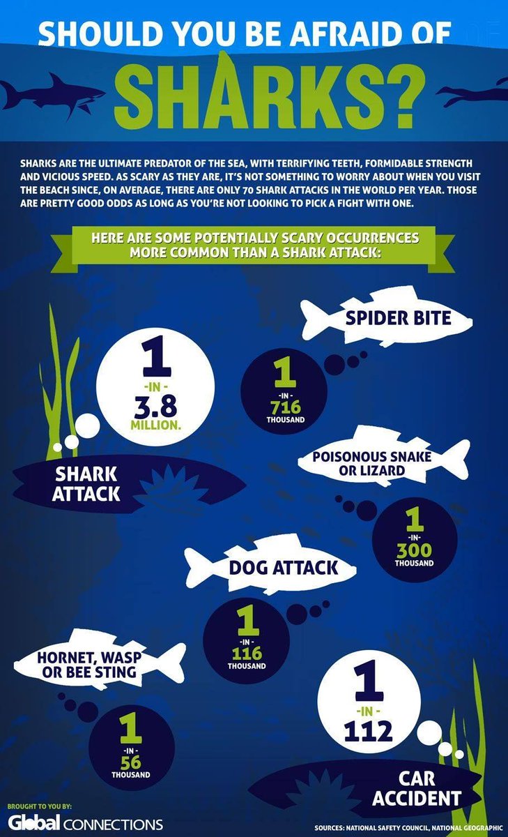 RT to help others learn not to fear us. Sharks are friends, not fear. #SharkFacts #SaturdayMorning #SaturdayThoughts
