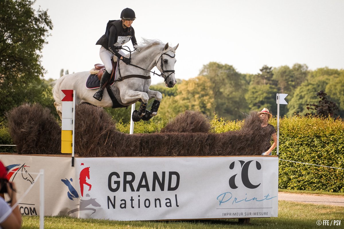 #ConcoursComplet 🇫🇷 MASTER PRO 🇫🇷
Après le cross, Nicolas Touzaint &amp; Absolut Gold*HDC gardent la tête du championnat Pro élite avec 26,4 pts! <a href="/gwendolenfer/">Gwendolen Fer</a> &amp; Romantic Love remontent à la 2e place (26,6 pts)!👏Anouk Canteloup &amp; Daniel Del Imperméable sont 3èmes (35,5 pts).👍