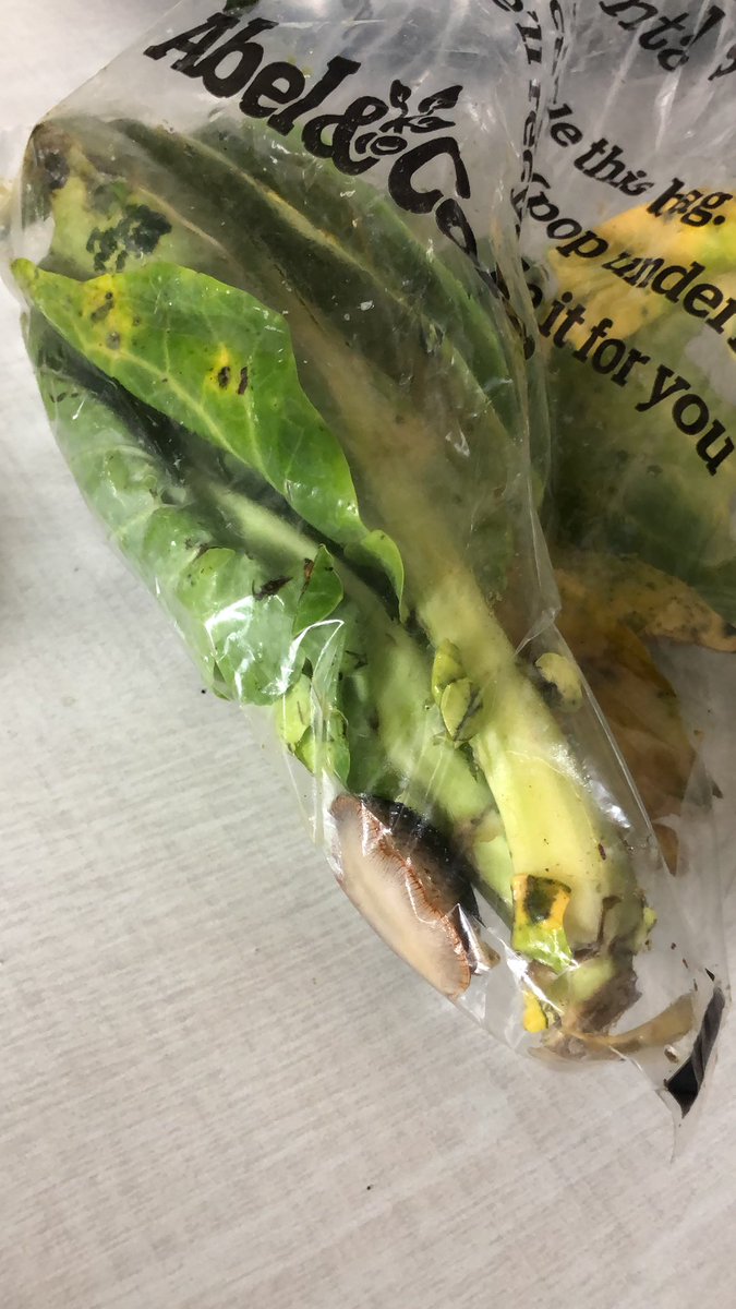 Jemma Jarvis OLY tweet media