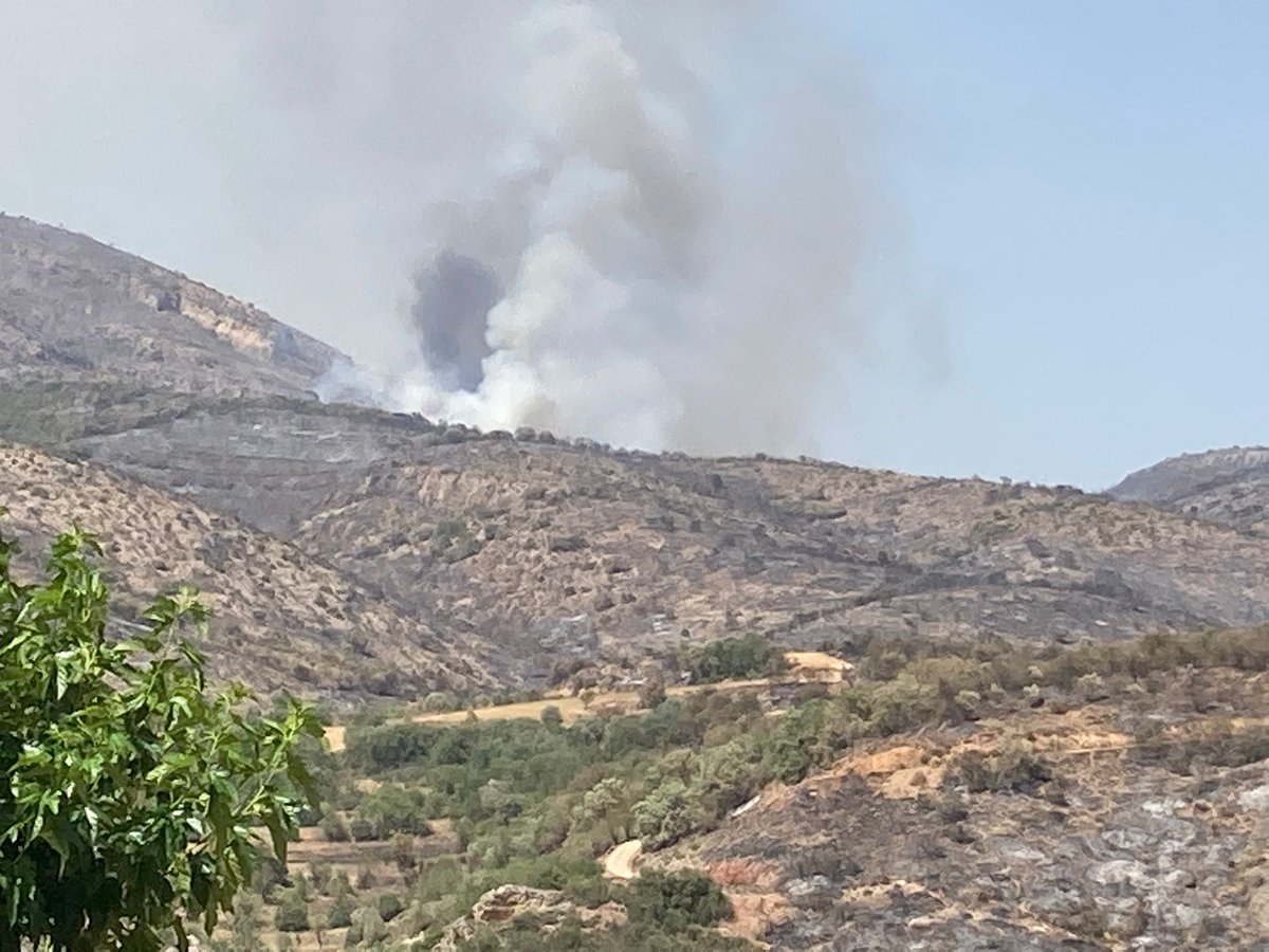 Eva -Alentorn- 🎗🎗🎗🎗🎗🎗🎗🎗🎗 tweet media