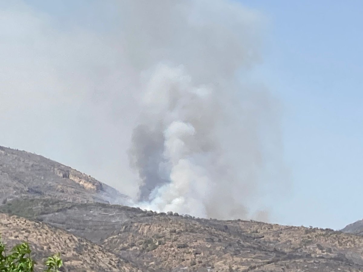 Eva -Alentorn- 🎗🎗🎗🎗🎗🎗🎗🎗🎗 tweet media