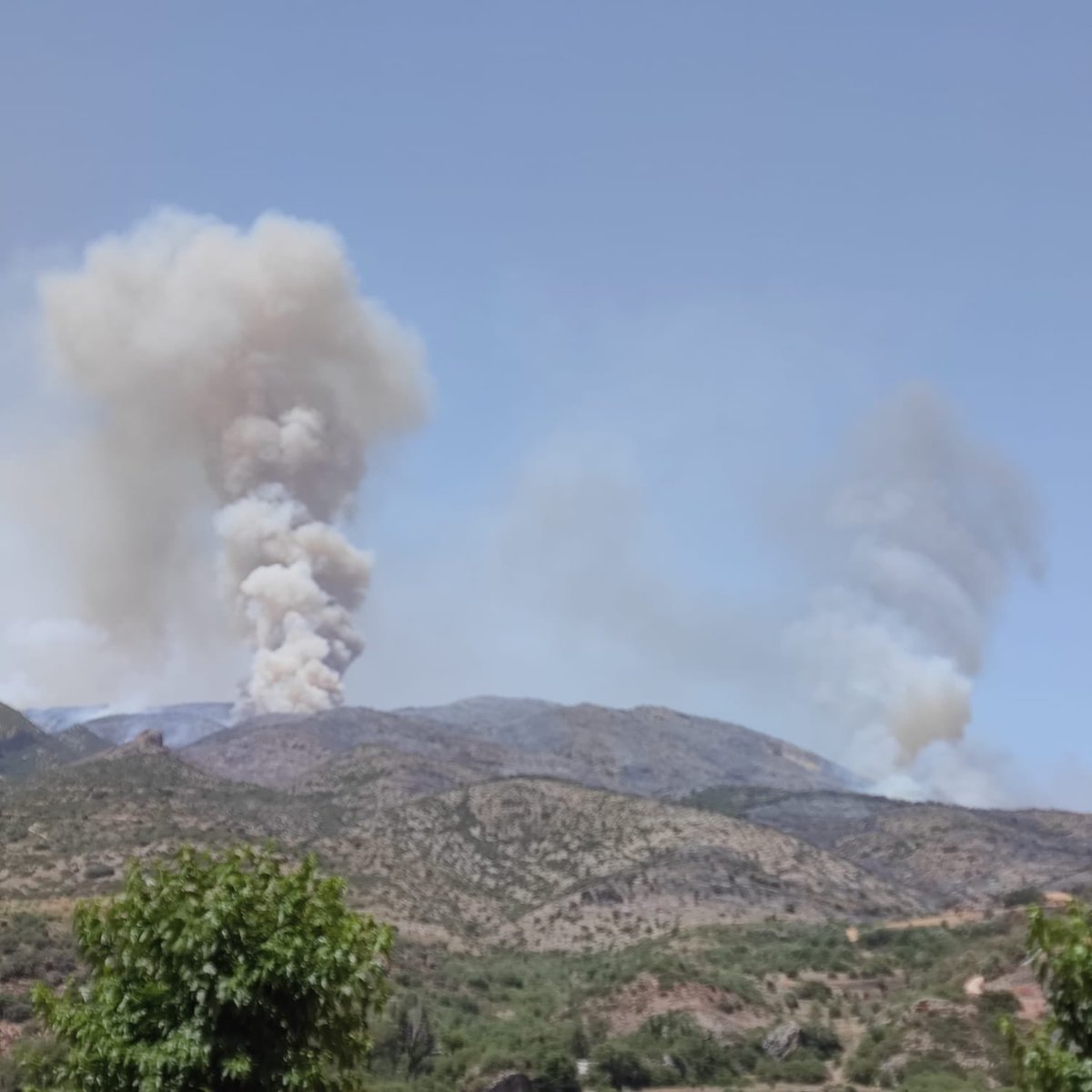 Eva -Alentorn- 🎗🎗🎗🎗🎗🎗🎗🎗🎗 tweet media