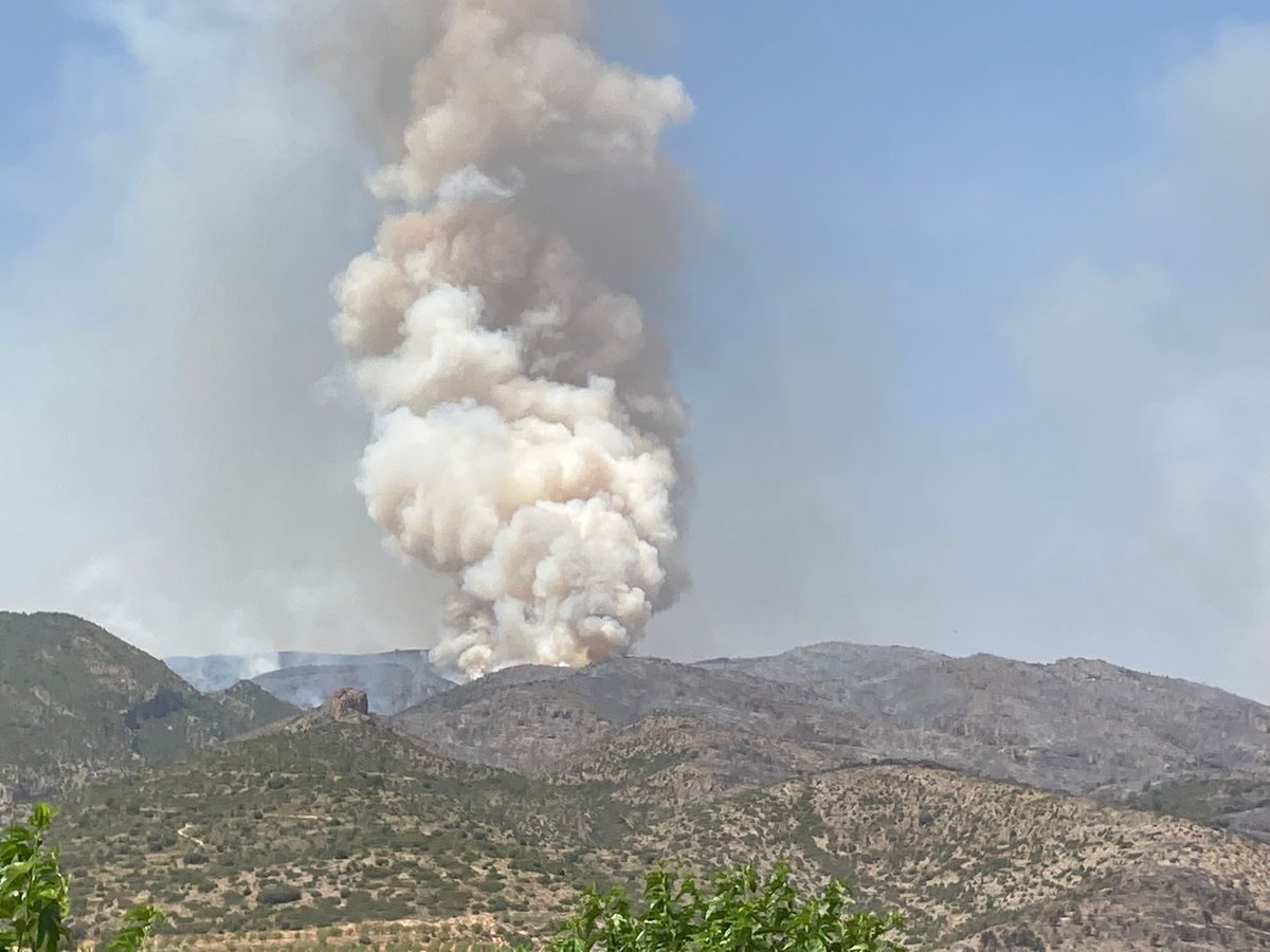 Eva -Alentorn- 🎗🎗🎗🎗🎗🎗🎗🎗🎗 tweet media