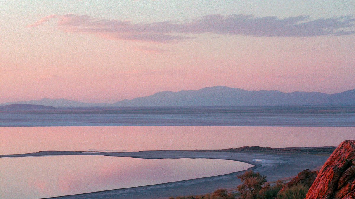 The camera.           🤝            The photos.