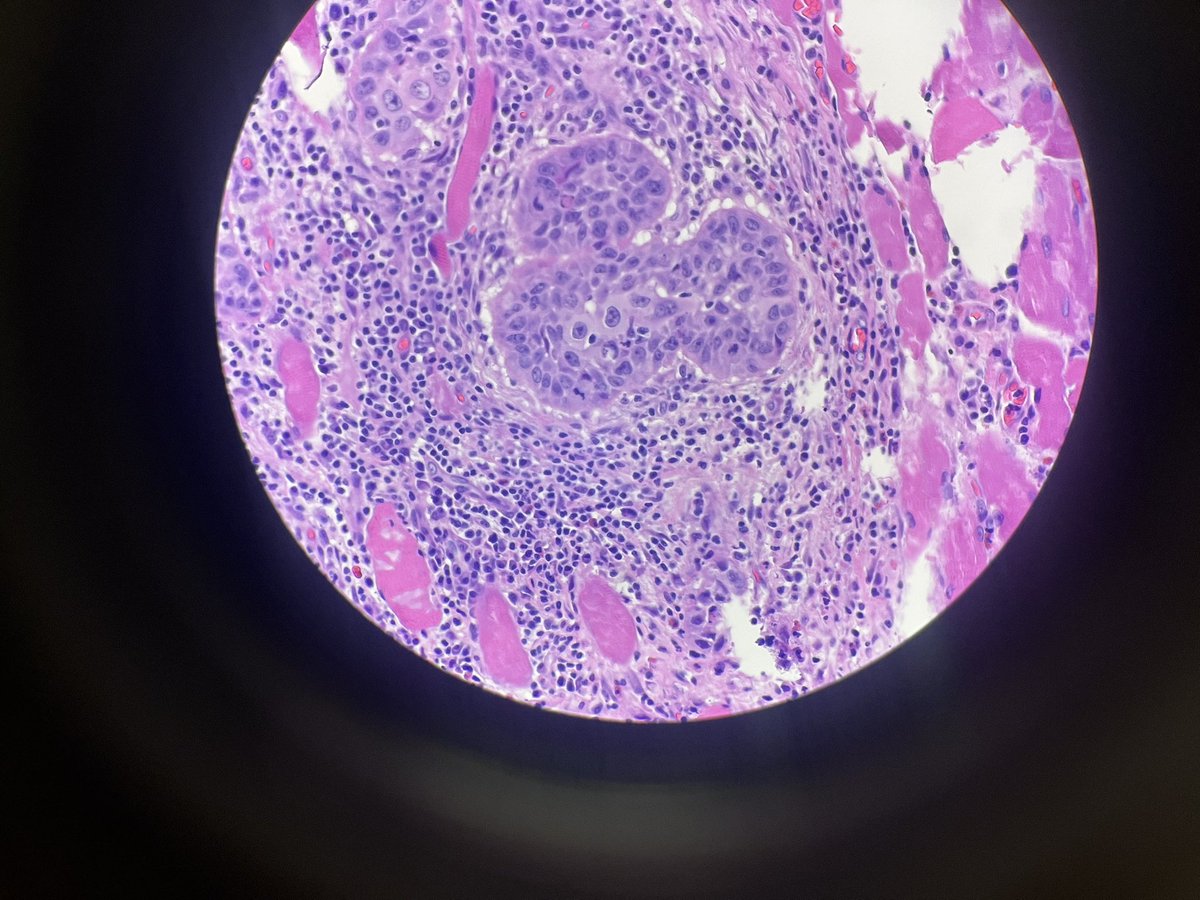 MoAli_Path's tweet photo. When you are an Orlando Pathologist!!! #hemepath #pathfun https://t.co/jM1Dm2tonH