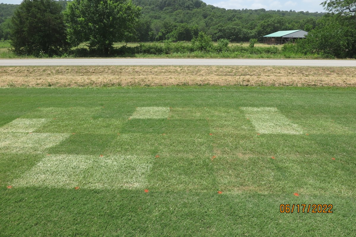 ArkansasTurf's tweet image. love trials that pass the &quot;eye test&quot;... #turfresearch #pythagorean #quilt