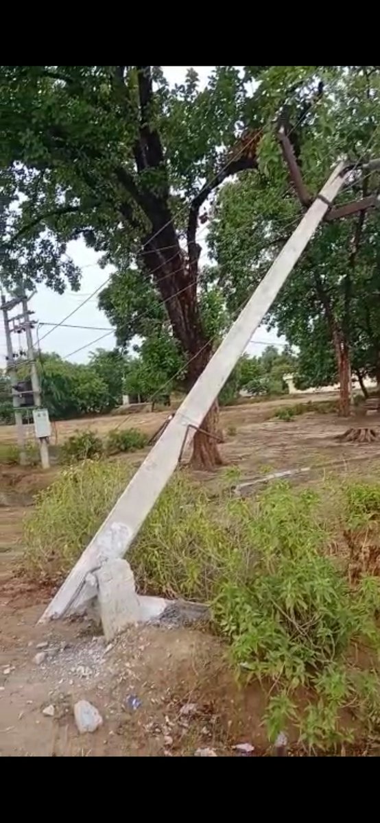 Edsdsoraon tweet media