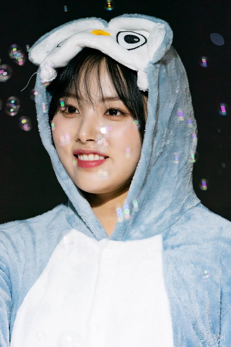 Tong-Tong 통통이 tweet media