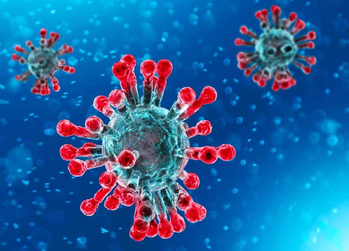 CNASI_AN's tweet photo. CORONAVÍRUS - CNASI PROPÕE PROTOCOLO SANITÁRIO PARA PROTEGER SERVIDORES DE CONTAMINAÇÕES E MORTES POR COVID-19 https://t.co/EzKytV5Lgh https://t.co/3kFKyeuyST