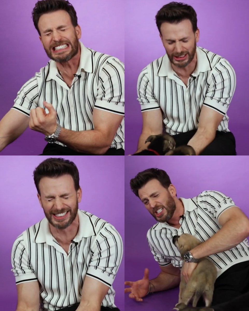 stevrogersfiles's tweet photo. seeing chris evans lose his cool because of the puppies is everything https://t.co/Wi3jJaSxIi