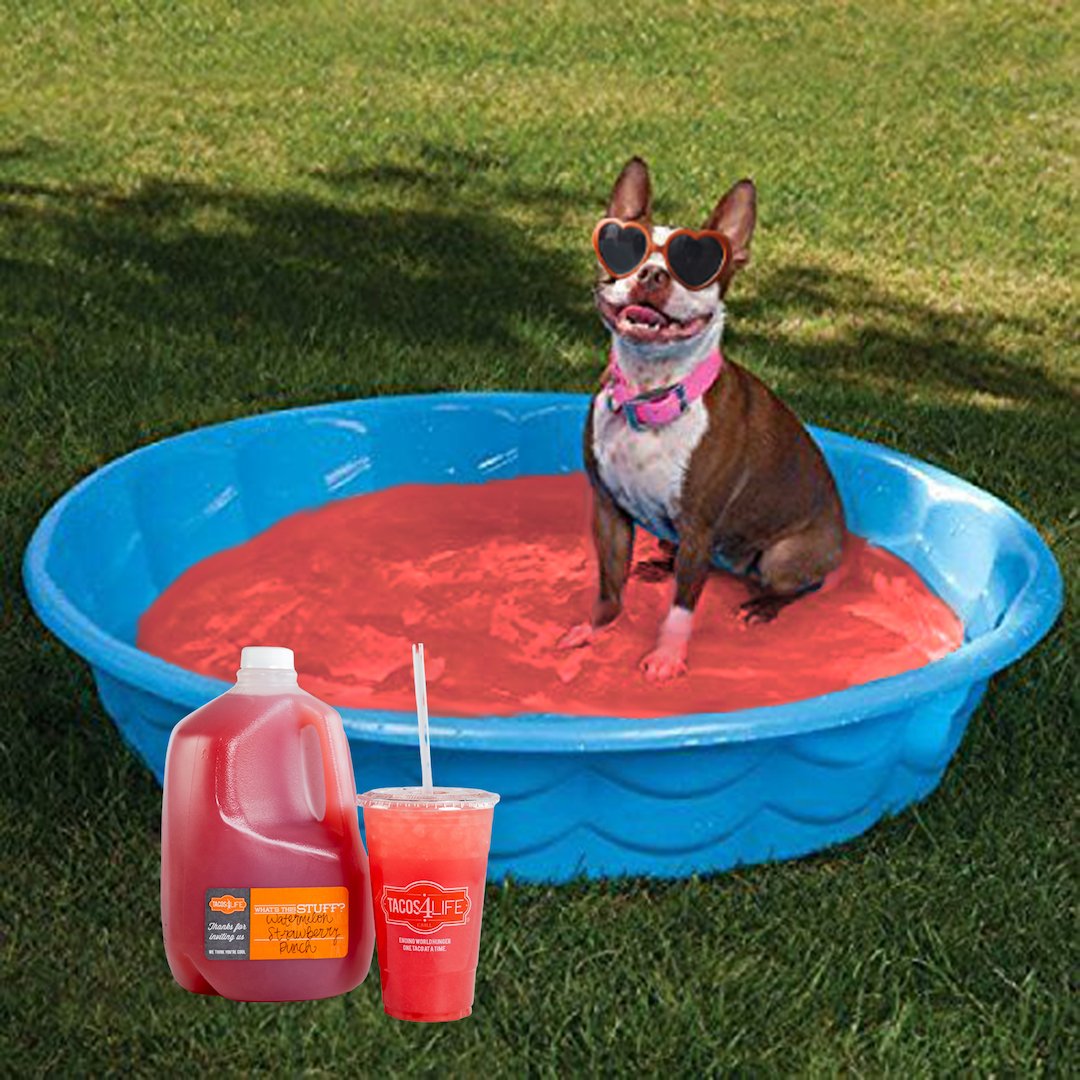 Tacos4LifeGrill's tweet photo. Our punch also doubles as a swimming pool in the summer...
#summerfun #kiddiepool #watermelonstrawberry #watermelonpunch #soakingupthesun #meme https://t.co/Chmqzui1nQ
