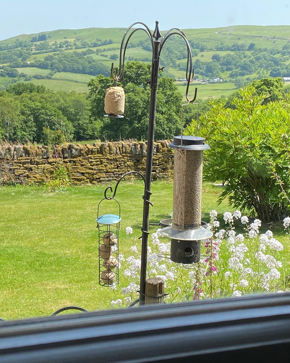 LlwydPant's tweet photo. Our guests left us a lovely list of all the beautiful birds 🦅 they had seen in & around our garden
·
·
·
#breconshirefarm #breconshire #aderyn #birdwatching #pantllwydfarm https://t.co/VxG4J4MlBd