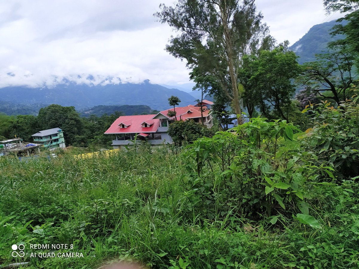 JITSARDAR14's tweet photo. 🍁When everything feels like an uphill struggle, just think of the view from the top🪶
#sandakphu&amp;phalut 💚
#HappyJourney ✈️
#northernbreeze 🍃
#ilovemountains ❤
#treckerbabes 🖤
#treckerfahrerdurfendas https://t.co/jgUDkl1msR