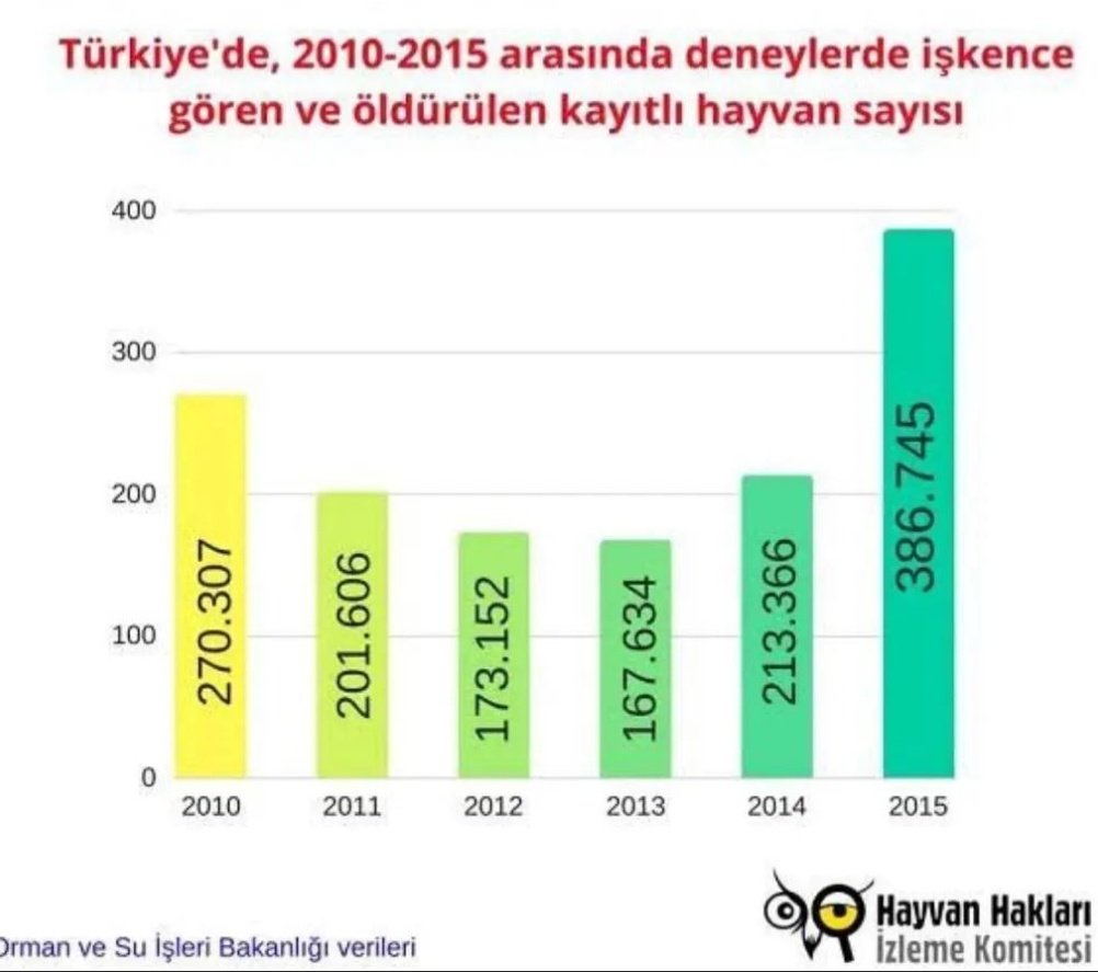 #animals #hayvanseverler #hayvamsevgisi #beykozüniversitesi #twittergundem #Twiter #kesfet