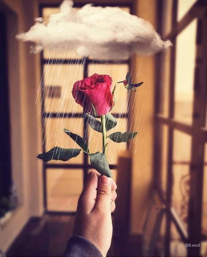 وما الهموم الا غيوم قريبا ستنقش