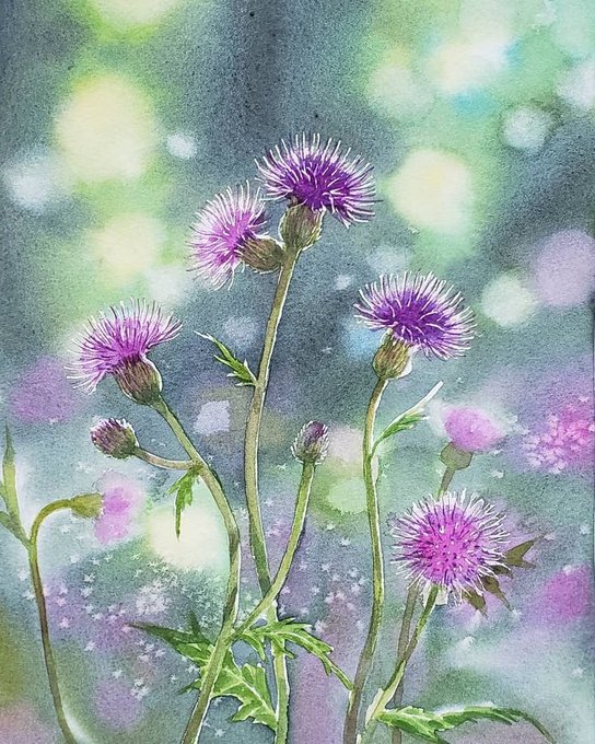 ノアザミのtwitterイラスト検索結果