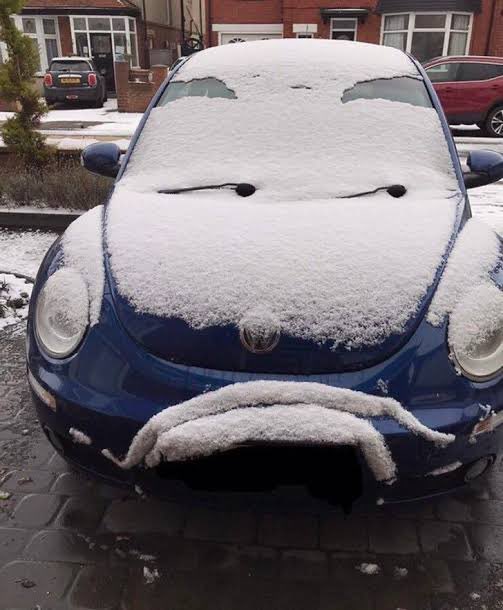 Carasrandom's tweet image. 