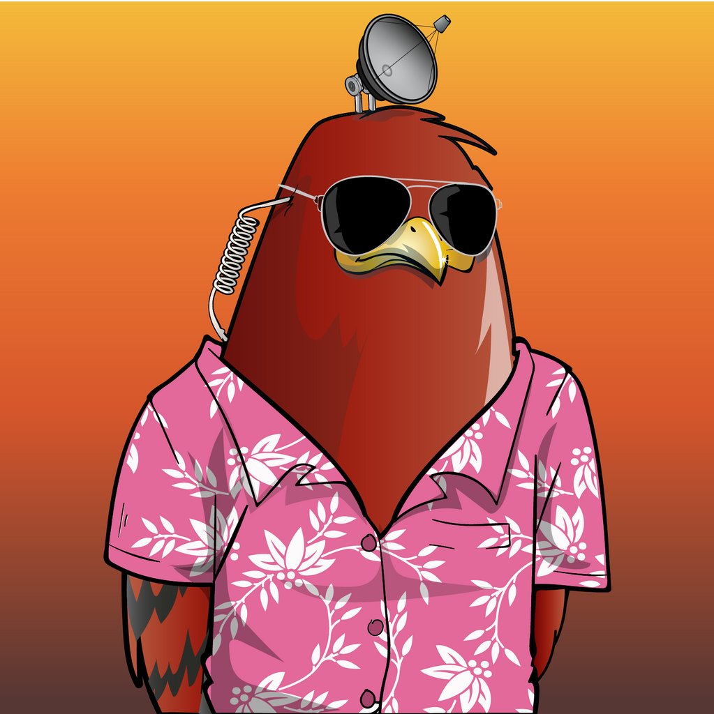 RealBirds (SOL Mint SOON) 🐦📡 tweet media