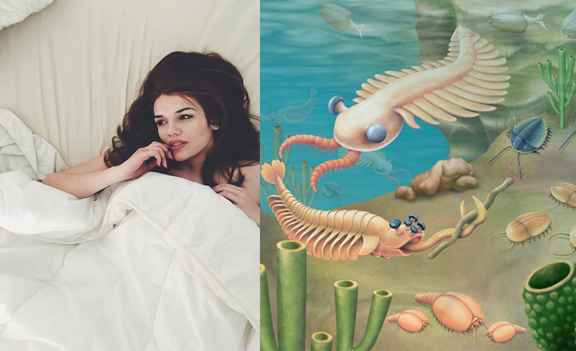 Reductress tweet media