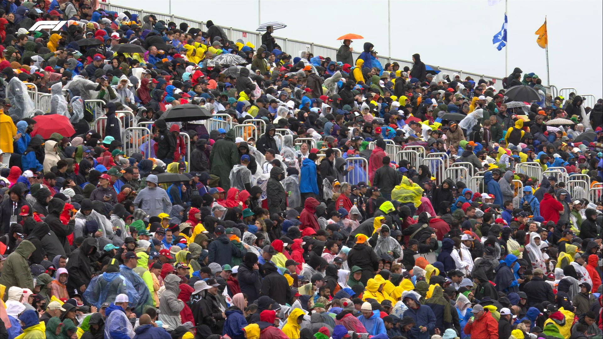 Montreal crowd: Grand Prix crowd