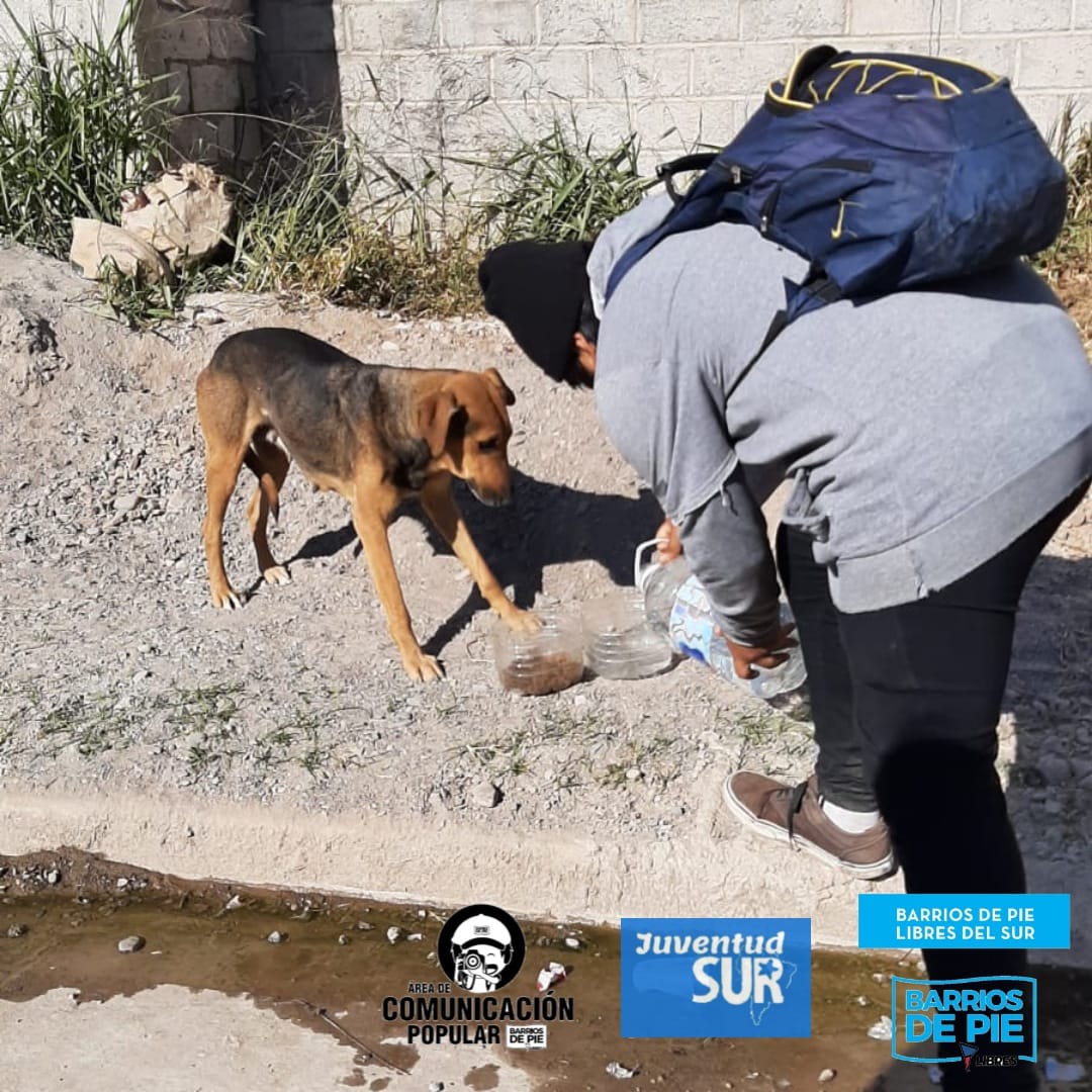 LibresDelSurJuy's tweet photo. Los compañeros de comunicación cubrieron la actividad de Sur-Acción Animal, en donde se trata de ayudar a los animales en situación de calle e informar a los dueños y vecinos sobre la tenencia responsable y auxiliar a perritos heridos.
#Barriodepie #Jujuy #Libresdelsur https://t.co/fXPSJCFtTx
