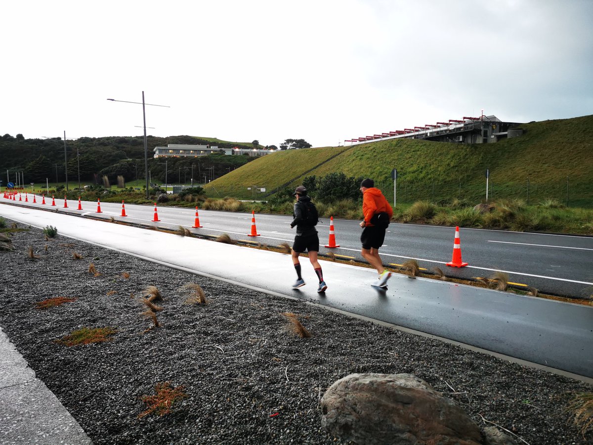 WildBayNZ's tweet image. The first runners are now along Cobham Drive.
@GazleyMotors Wellington Marathon.
#WellingtonMarathon