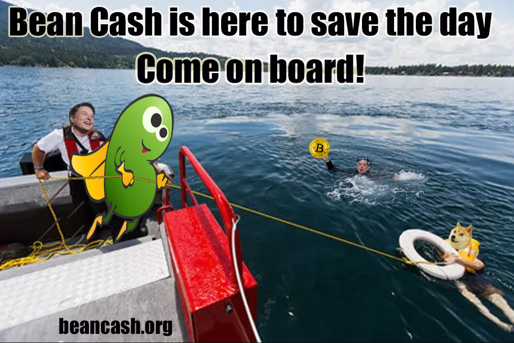 #Dogecoin $DOGE users are about to loose another $CENT value in $USD with price going under 5 cents #BeanCash $BITB $BEAN offers #DOGEARMY refuge from the #BearMarket2022