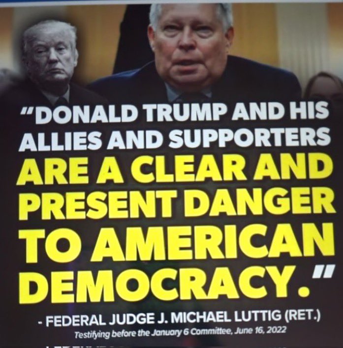 BigSky3450's tweet photo. @mooserocka331 @RepSwalwell #Trump &amp; his Allies &amp; supporters in the #January6Insurrection are a #ClearAndPresentDanger to American democracy was Judge #Luttig’s warning to the nation in his testimony in the #January6thCommitteeHearings https://t.co/SB8apUDsoO