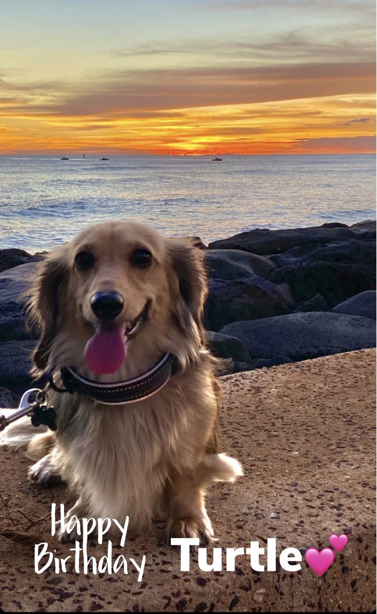 Chanel Christine 🌺 tweet media