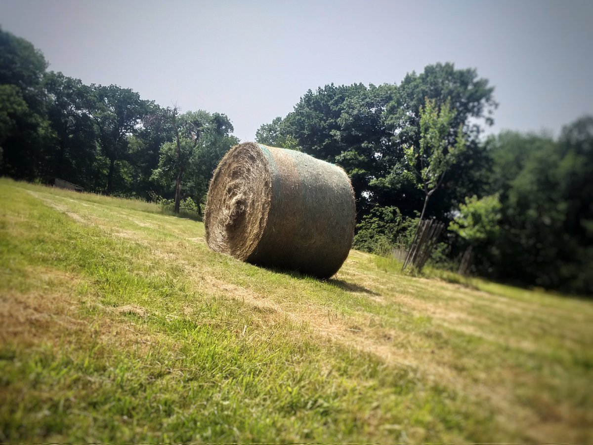 jeannotmarot's tweet photo. Des petits, des grands, des carrés, des ronds... peut on parler de ballots-diversité ? https://t.co/kYzxItBgnV