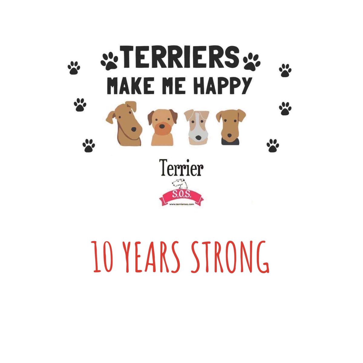 We are celebrating our Platinum Jubilee (in dog years) this month tooo! We have been rescuing for 10 years - still terrier strong #10yearanniversary #terriersos #terrierstrong #weloveterriers