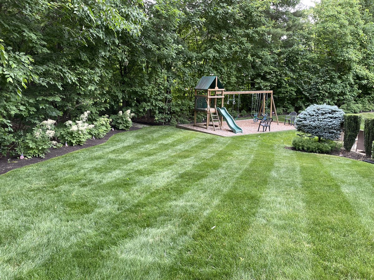 BHLevesque's tweet photo. #SaturdayAfternoon #yardistry #lawnporn mowing & trimming yard cardio today https://t.co/FMccBi4DWj